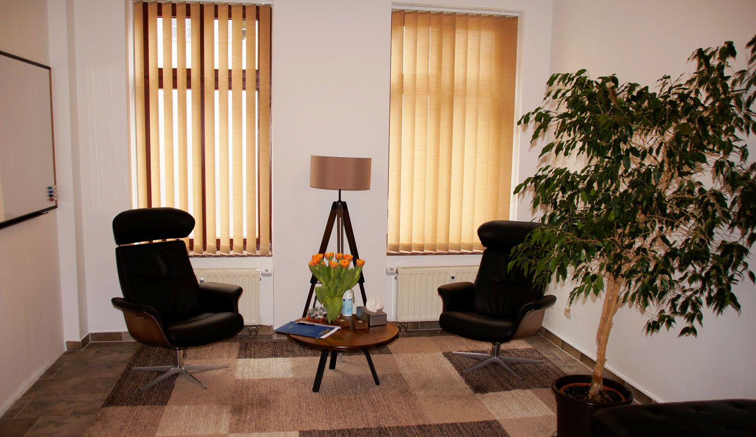 Therapienangebot
